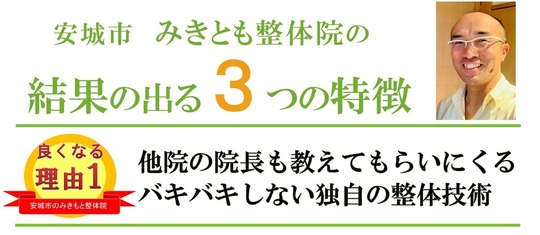 安城市の整体院 自律神経専門 みきとも整体院
